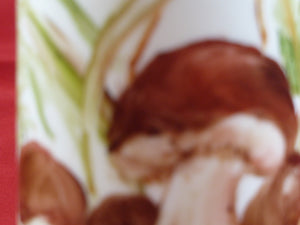 Lattina - oliera con funghi in porcellana